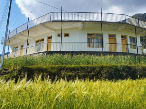 Yellow House